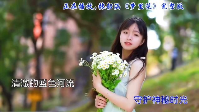 张韶涵演唱《梦里花》微光点亮迷惘,纯白茉莉绽放,感动永恒