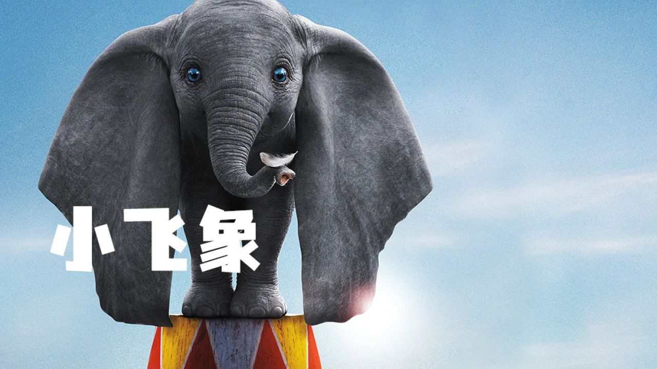 第3集 | 有时候生活就像被锁在了门后,需要一把锁开启《小飞象》