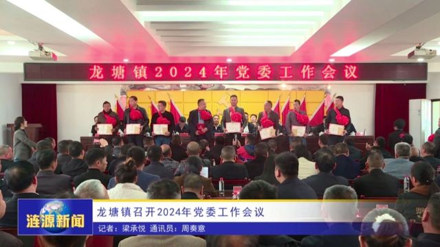 龙塘镇召开2024年党委工作会议