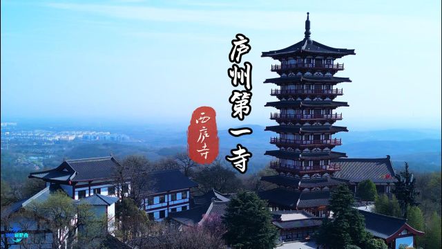 坐落于合肥市肥西县紫蓬山的西庐寺,是一座有着千年历史的宝刹,也曾是地藏菩萨去九华山路上的落脚地,乃庐州第一寺