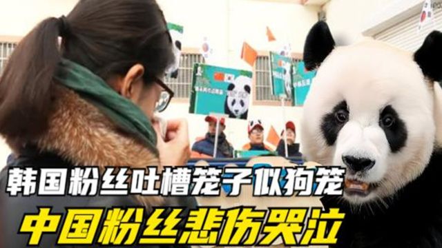 乐宝远赴韩国之前,韩国粉丝吐槽笼子似狗笼,中国粉丝悲伤哭泣