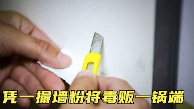 犯人不肯招供怎么办?老刑警仅用一撮墙粉,将犯罪团伙一网打尽!