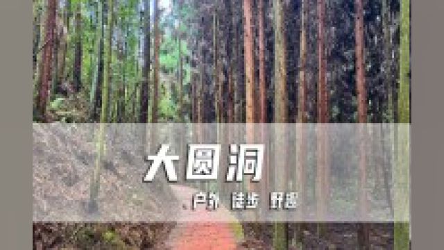 重庆周边徒步线路推荐,大圆洞国家森林公园徒步,全程10公里,走完腿已废