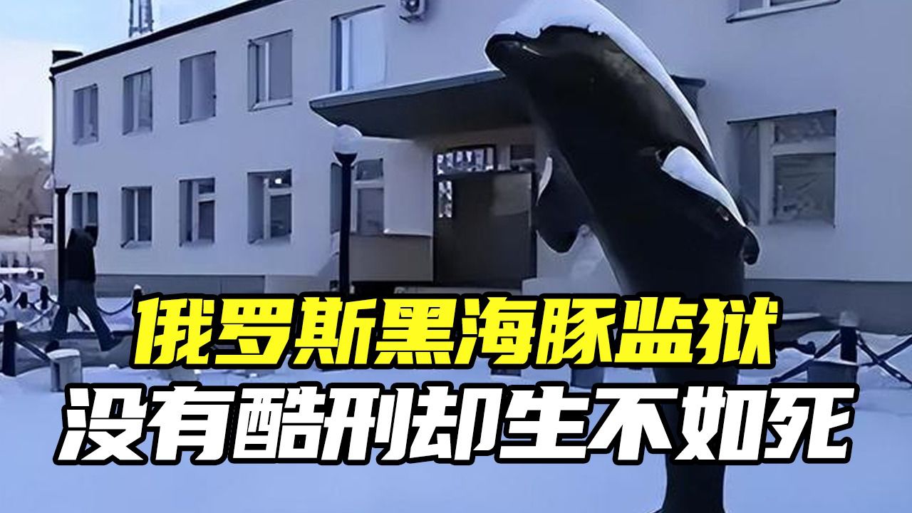 俄罗斯黑海豚监狱,入狱相当于入土,没有酷刑却让人生不如死