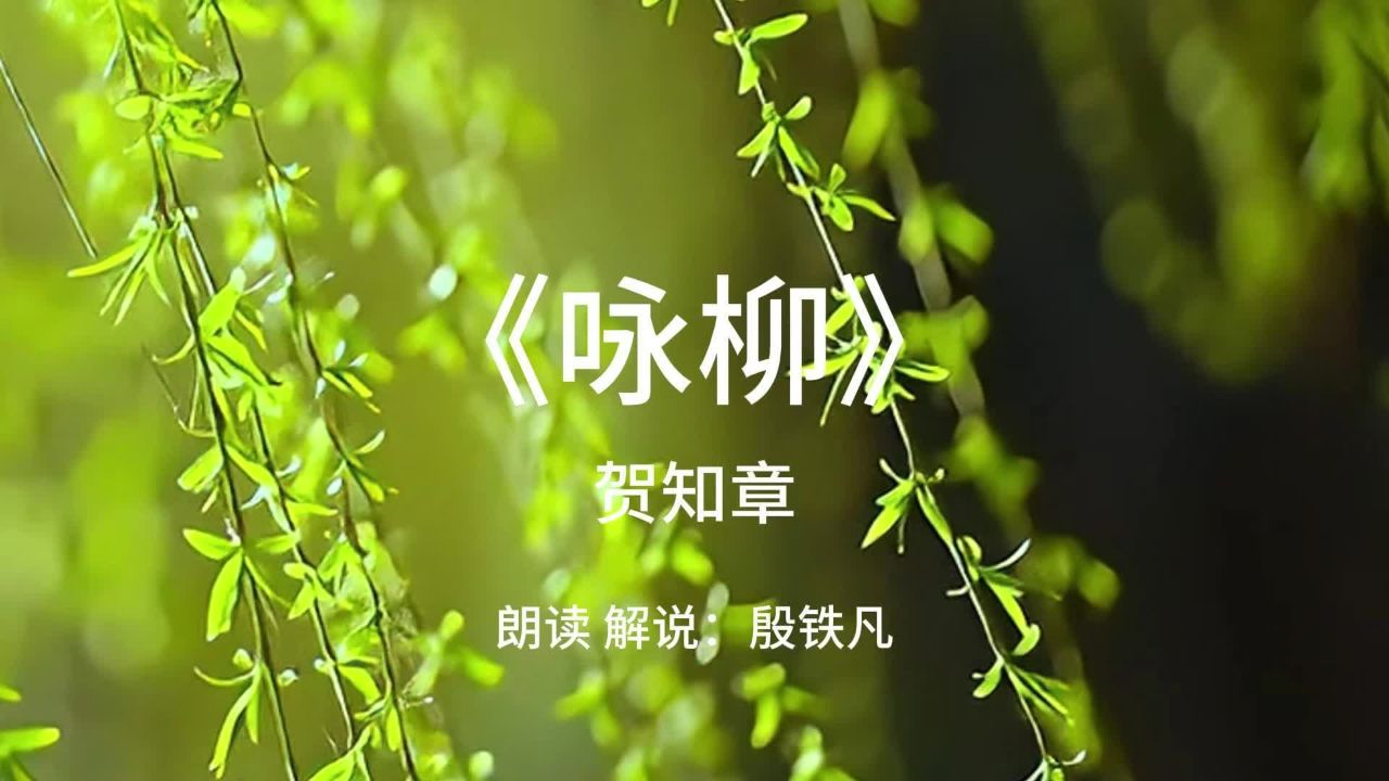 咏柳照片图片