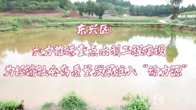 东兴区:大力推进重点水利工程建设,为经济社会高质量发展注入“动力源”