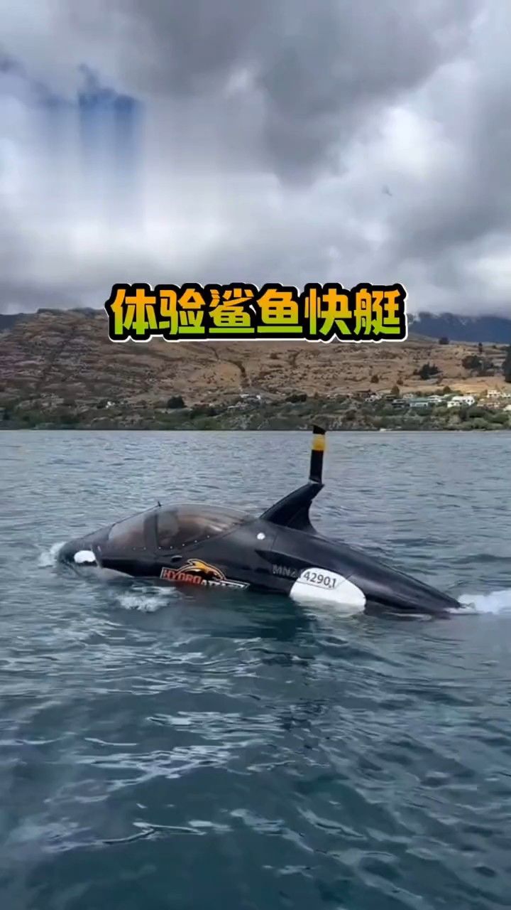 体验鲨鱼快艇