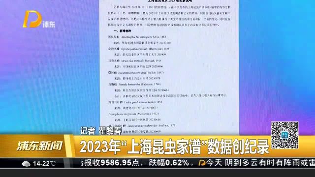 2023年“上海昆虫家谱”数据创纪录