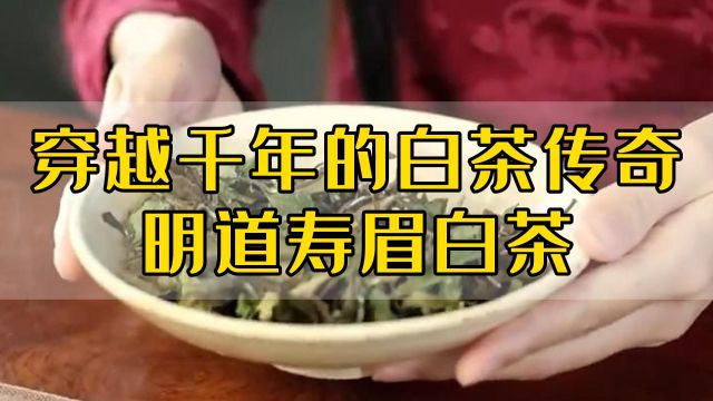 心灵壹号:穿越千年的白茶传奇明道寿眉白茶