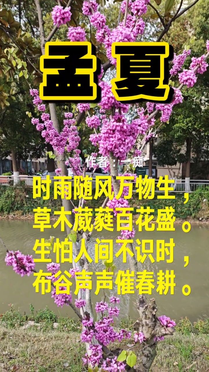 孟夏 时雨随风万物生, 草木葳蕤百花盛.