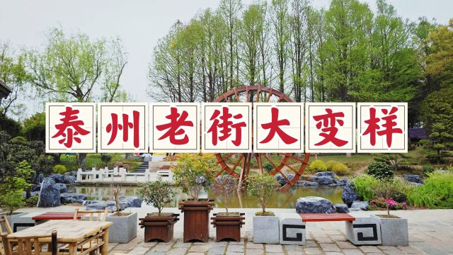 泰州老街大变模样,和桃园无缝衔接了起来,泰州文旅总算学乖了