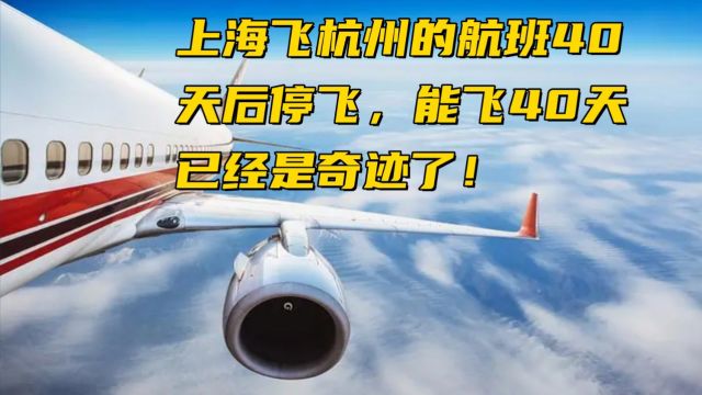 上海飞杭州的航班40天后停飞,能飞40天已经是奇迹了!