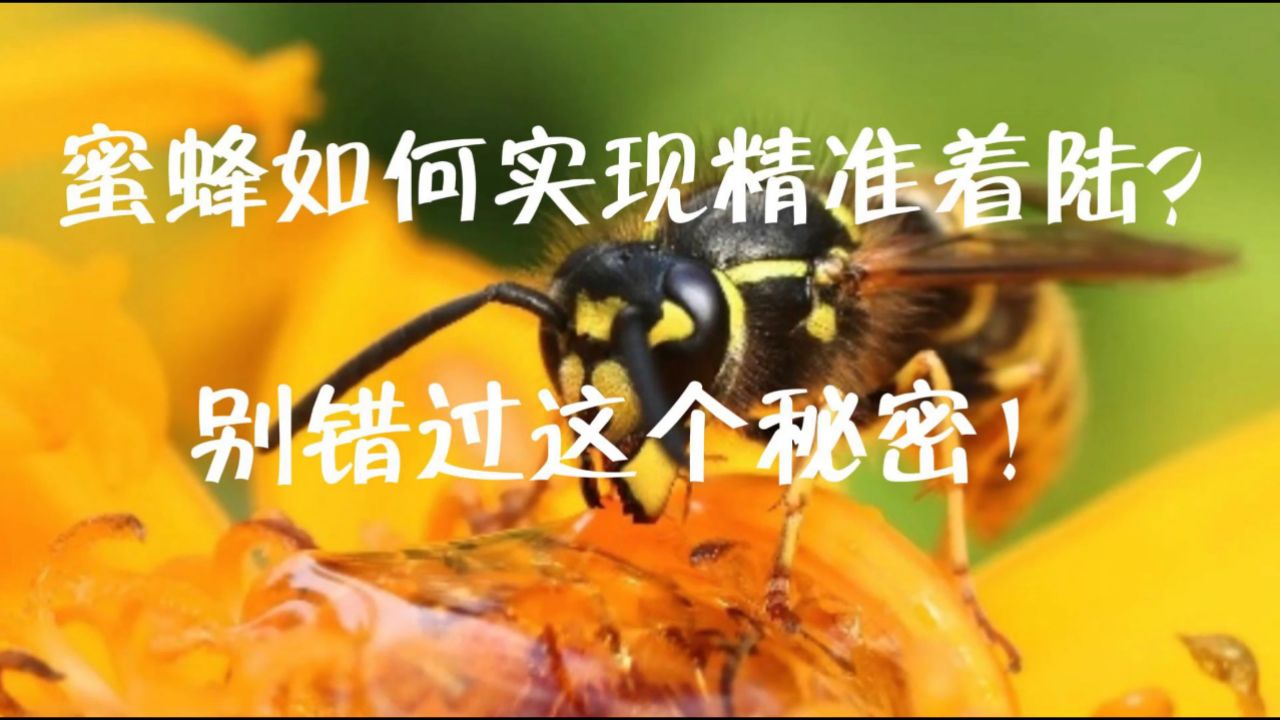 规模经济效益计算_规模效益和经验效益_丁辛醇规模经济效益