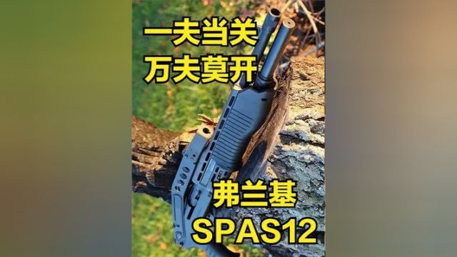 3米以内众生平等 弗兰基SPAS12战斗火器 一夫当关万夫莫开 #弗兰基 #spas12散弹枪 #武器科普