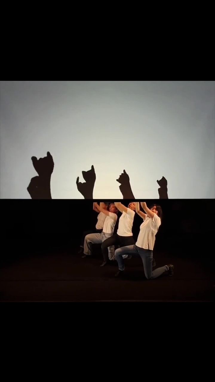 有趣的手影舞分享给不敷衍的人