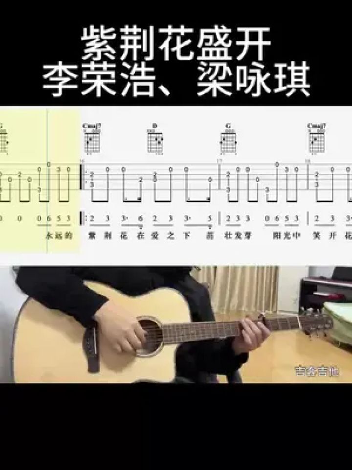 紫荆花盛开(李荣浩,梁咏琪)#吉他谱 #乐器演奏 #零基础学吉他 #吉他