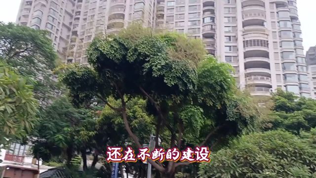 一个臭水塘旁边建那么多房地产,广州花都湖开发商拼命想钱想疯了