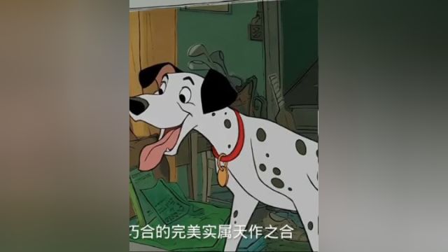 斑点狗的故事