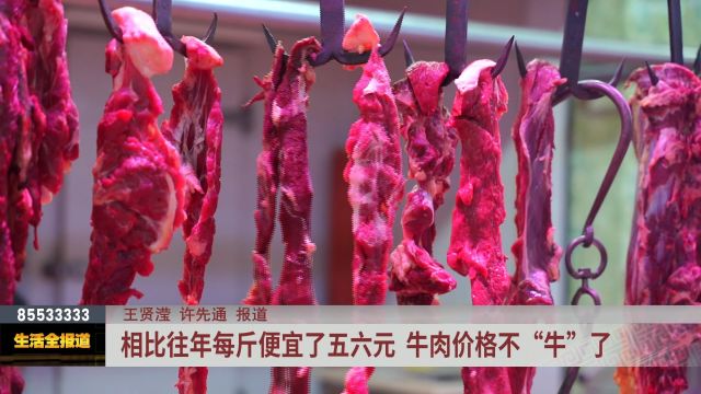 相比往年每斤便宜了五六元 牛肉价格不“牛”了