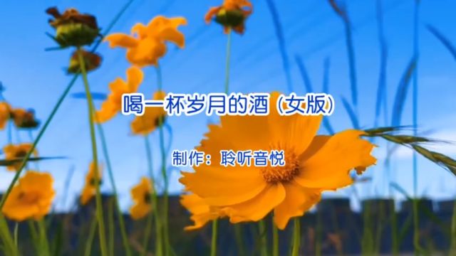 伤感歌曲《喝一杯岁月的酒》非常好听