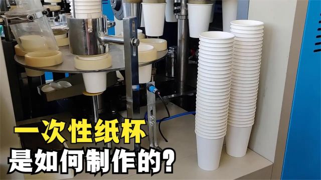 一次性纸杯是用什么材料制作的?过程又是怎样的?看完涨知识了