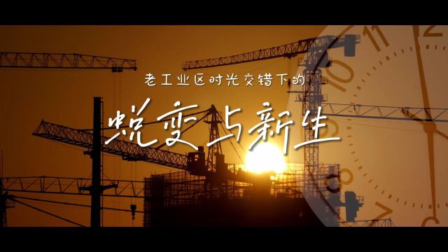 《我的家乡美》街巷篇 | 白沙大道:老工业区时光交错下的蜕变与新生