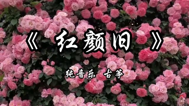 《红颜旧》纯音乐完整版#纯音乐 #背景音乐 #前奏一响拾起多少人的回忆