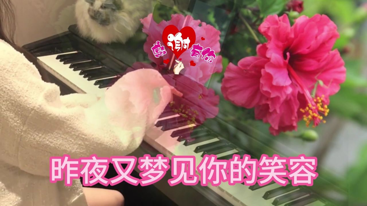 这次我真的需要你陪我一起面对!