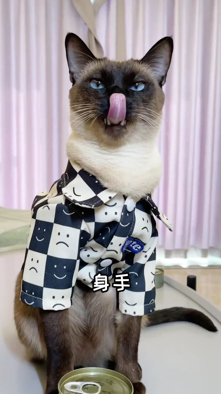 还好见好就收了!不然就白忙活半天了!