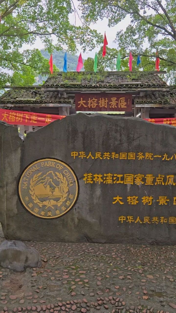 桂林大榕树景区