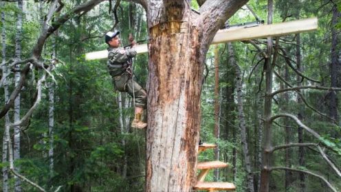 为了抵御森林猛兽的偷袭，小伙巧妙设计旋转楼梯，将树屋搭建在半空中