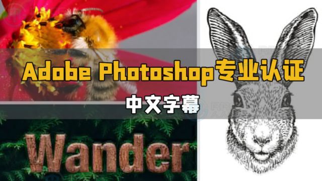 【中文字幕】Adobe Photoshop专业认证人员考试培训视频教程 RRCG