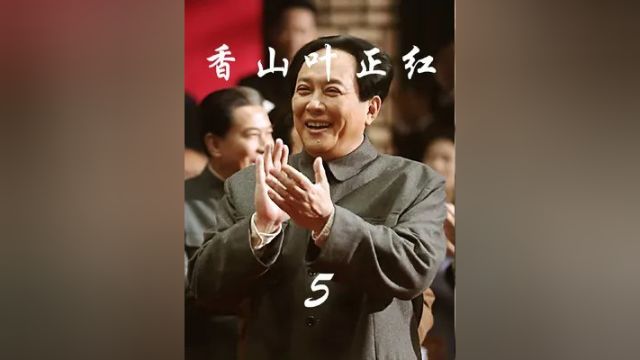 香山叶正红#电视剧解说