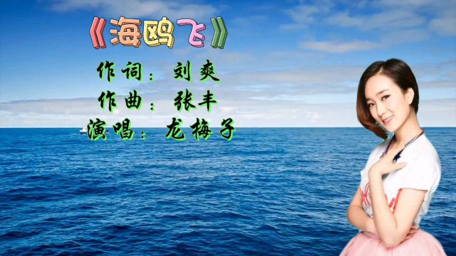 《海鸥飞》龙梅子歌声柔情甜美动听