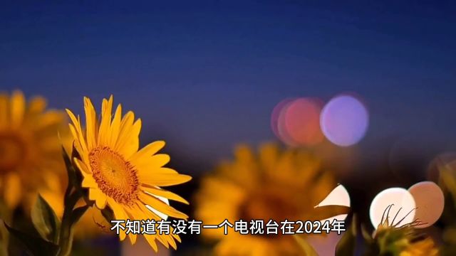 2024年各地方卫视的跨年晚会被歌舞全覆盖,语言类节目名存实亡