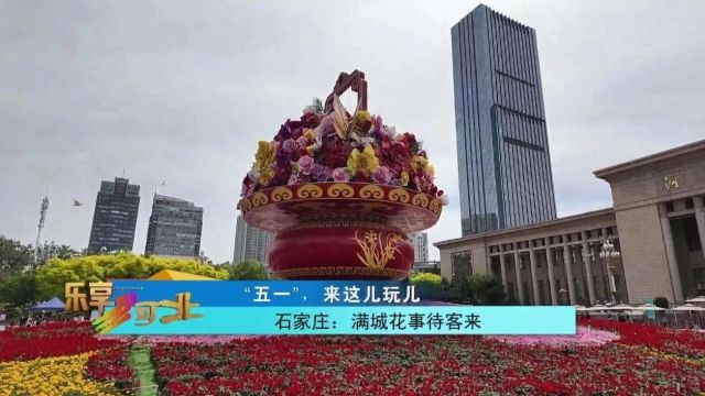 “五一”,来这儿玩儿|石家庄满城花事待客来