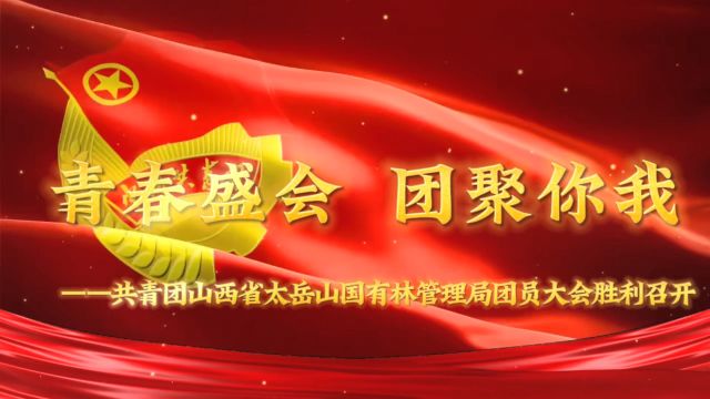 青春盛会 团聚你我——共青团山西省太岳山国有林管理局团员大会胜利召开