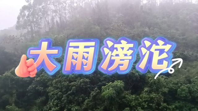 大雨下不停