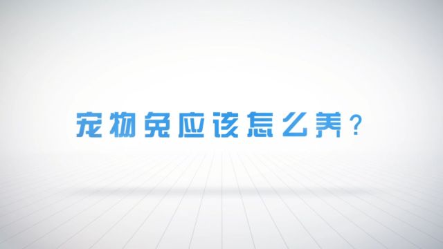 【爱宠说第一季】18期 宠物兔应该怎么养