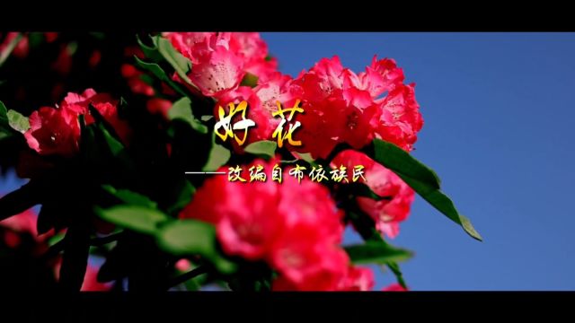 颜婷易兰好花红(KTV版)