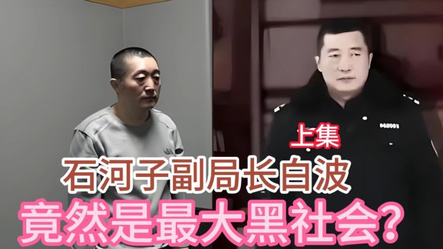 2018年石河子副局长的落网记:200天拒不交代,一首歌揭开真相