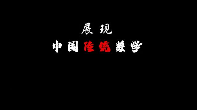 “中式美学 古韵国风”#历史 #国风