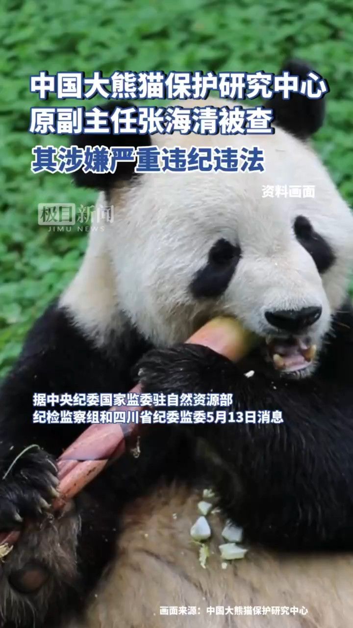 大熊猫保护研究中心原副主任张海清被查