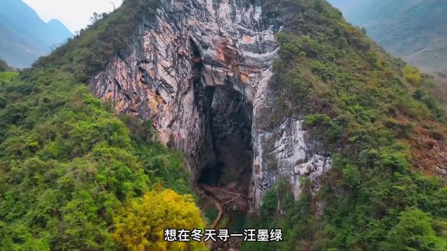 冬天别只看雪景了,在广东峡天下欣赏一下峡谷中的风景,绝对会是你来了不想走的神仙地方