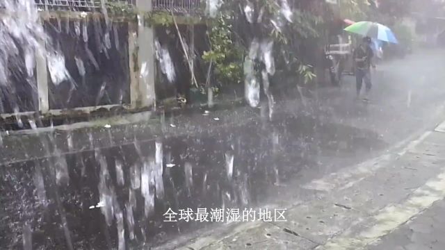 全球最潮湿的地区,一年到头除了下雨就是阴天,被子都发霉了!