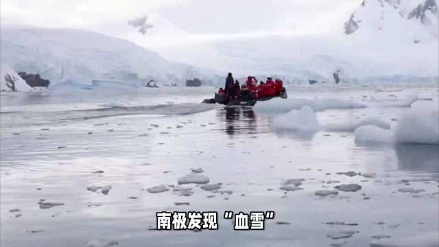 南极发现“血雪”科学家害怕的事竟悄然上演,地球或将存在危险