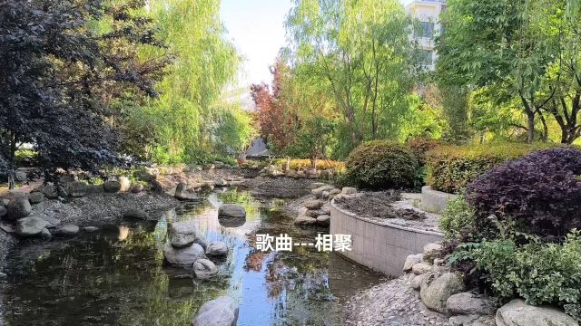 小区里的风景御景龙湾南花园