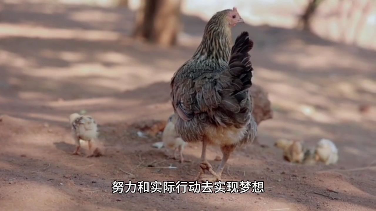 临渊羡鱼 不如归而结网