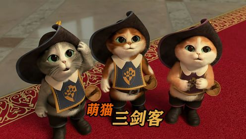 爱猫的和不爱猫的,都被萌掉牙了!《萌猫三剑客》
