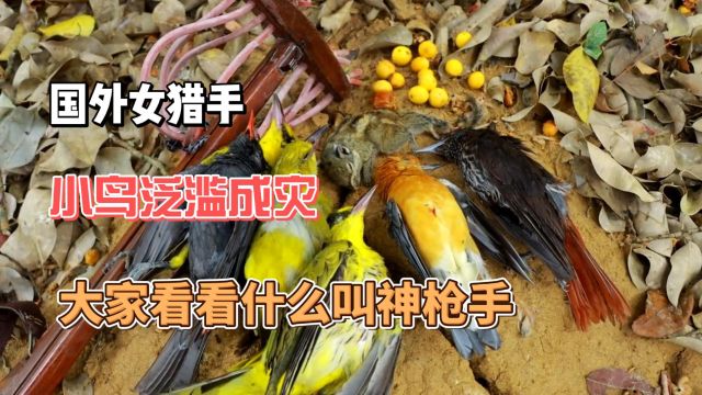 国外美女户外荒野狩猎小鸟,捕猎现场,百发百中不得不佩服!